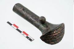 Foto von Bronzeortband (NHMW-PRAE-025481)
